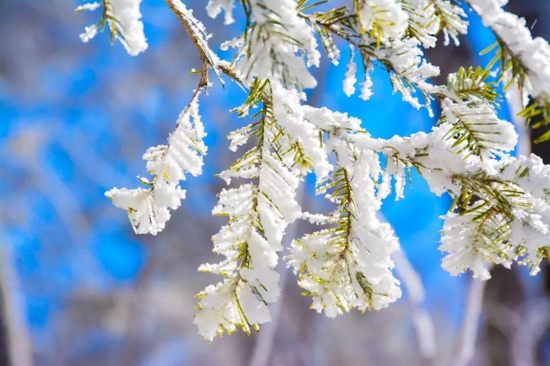 古代对冰雪的雅称 ，美到窒息！